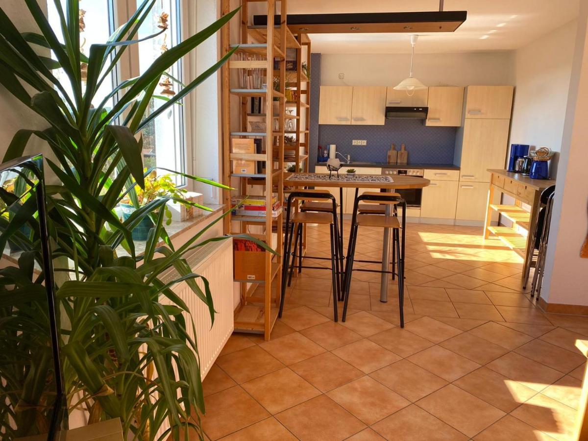 Ferienwohnung Geidel In Der Altstadt Nordhausen Dış mekan fotoğraf